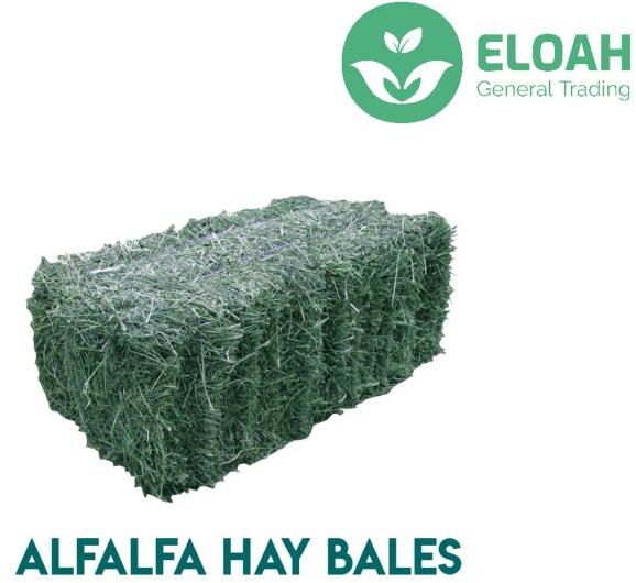 Alfalfa Hay, Application : Cattle Feed