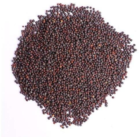 Brown Mustard Seeds, Packaging Size : 15-20kg
