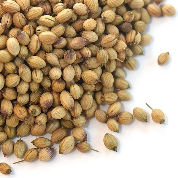 Coriander Seeds, Shelf Life : 3 Years