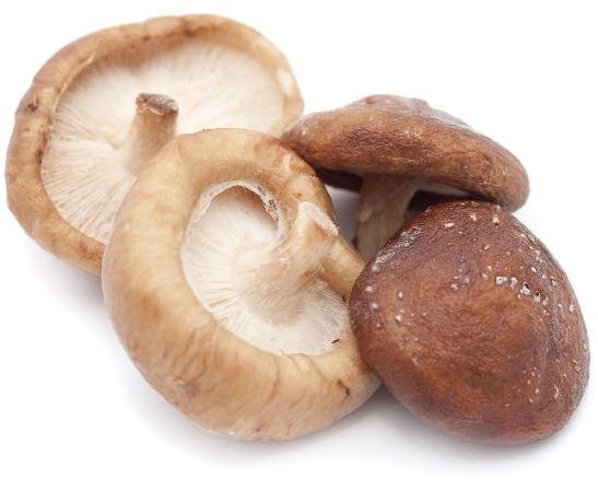 Fresh Shiitake Mushrooms