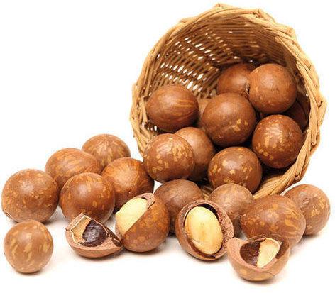 Macadamia Nuts, Feature : Immense Health Benefits