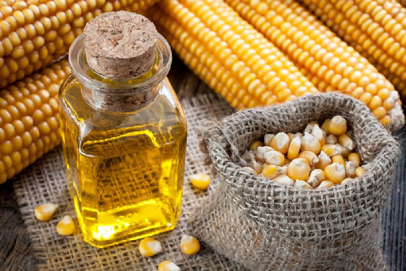 Maize Oil, Shelf Life : 1year