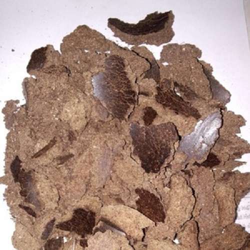 Air Dried Organic Palm Kernel Cake, for Animal Feed, Certification : FSSAI  Certified at Rs 290 / Metric Ton in Kolkata