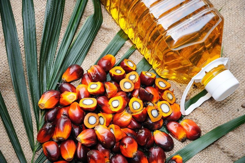 Organic RBD Palm Oil, Packaging Type : Plastic Bottle