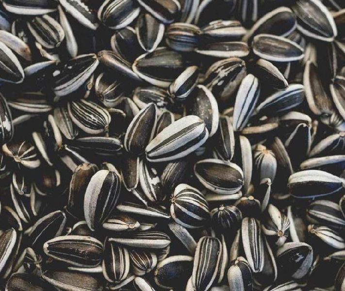 Organic sunflower seeds, for Agriculture, Certification : FSSAI