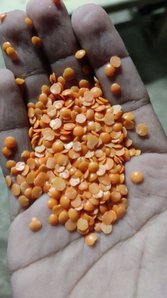 Masoor Dal Best Quality