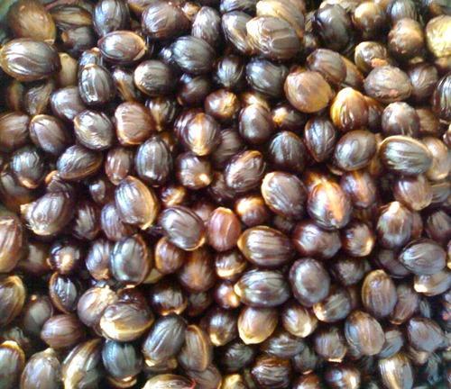 Nutmeg Seeds, Purity : 100%