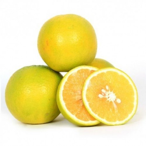Organic fresh sweet lime, Feature : Easy To Digest, Energetic, Natural Taste