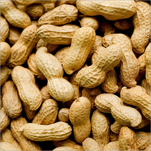 Natural Shelled Groundnuts, for Making Snacks, Feature : Longer Shelf Life