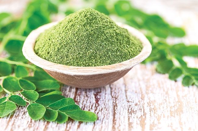 moringa leaf powder