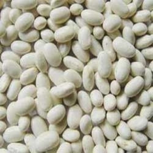 Bioextract White Kidney Bean, for Organic, Packaging Size : 5kg, 10kg, 25kg