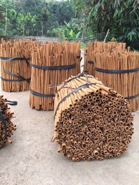 Cinnamon sticks