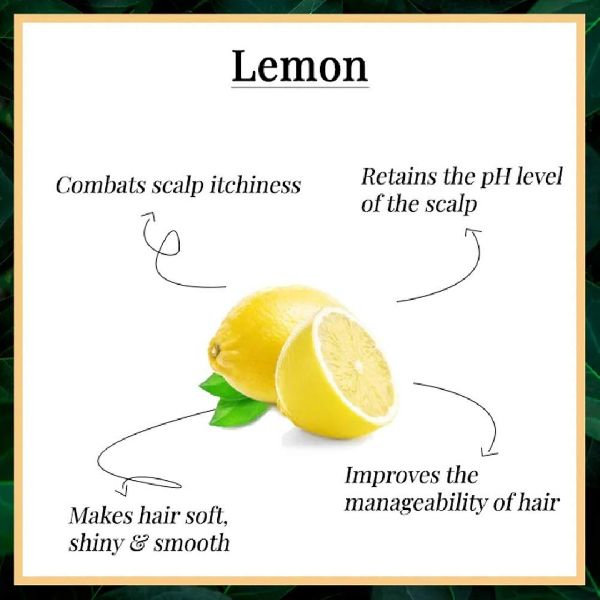Lemon Essential Oil, for Cosmetics Products, Killing Bacteria, Reduce Body Aches, Ward Off Insects