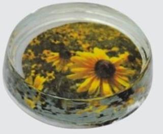 Glass Round Paper Weight