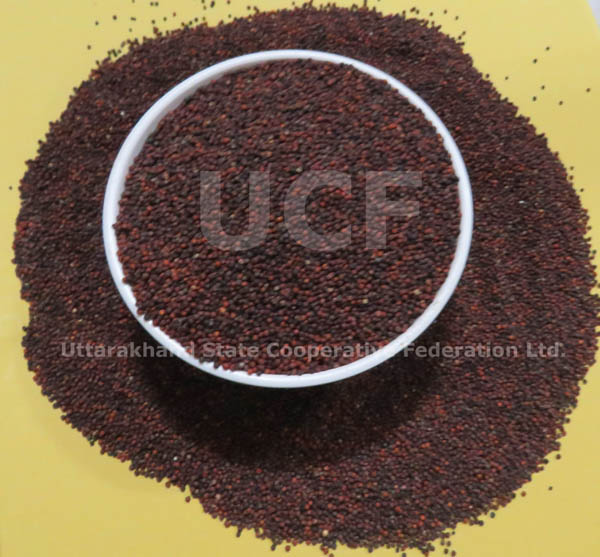 FINGER MILLET/KODA, Purity : 99%