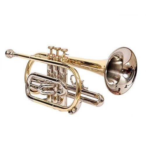 Brass Cornet