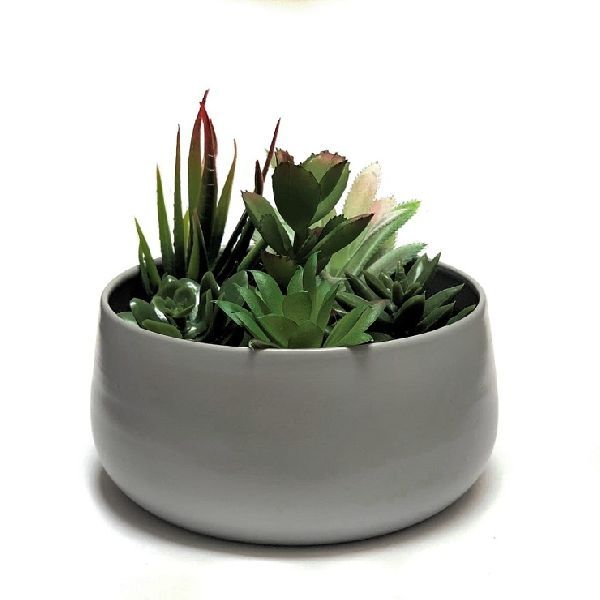 Dish Shaped Planters