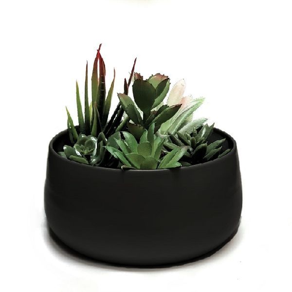 Dish Shaped Planters