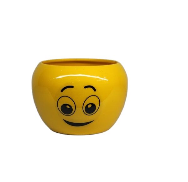 Smiley Face Planter