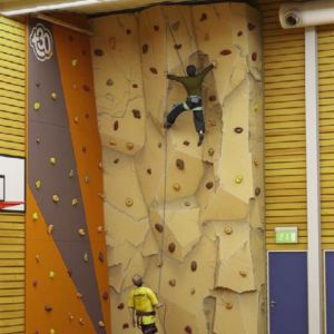 Plastic Climbing Wall, Color : Brown