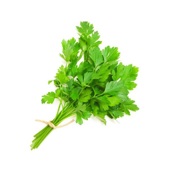 Coriander leaves, Color : Green