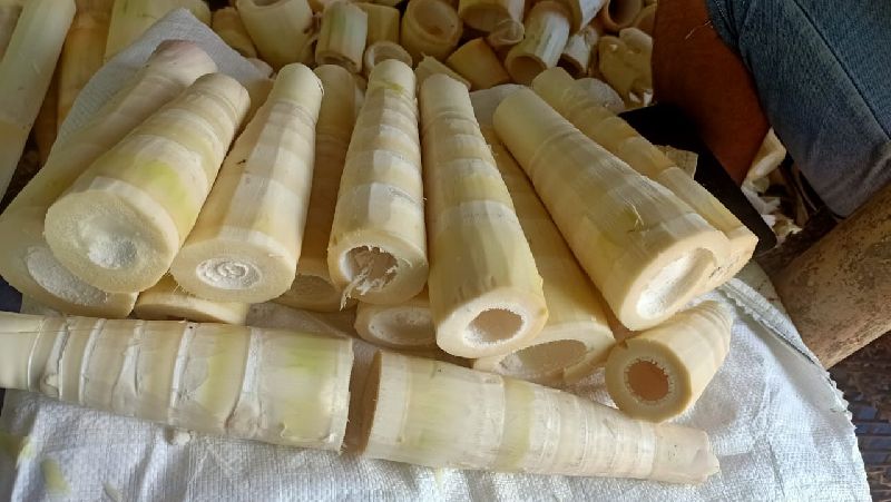 Bamboo Shoots, Shape : Round