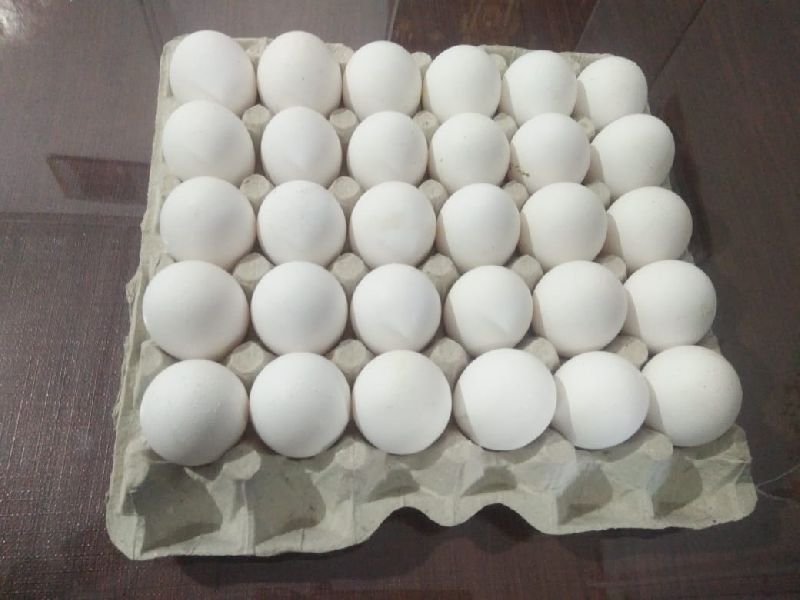 Manufacturer of Egg Tray from West Godavari, Andhra Pradesh by SRI