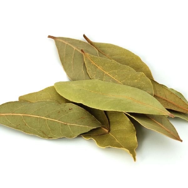 Bay Leaves, Packaging Type : Vacuum Packed