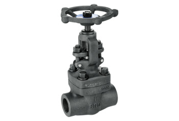 Forged Steel OS & Y Type 2 Globe Valve