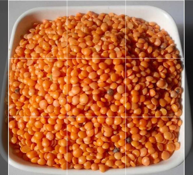 Red Lentils