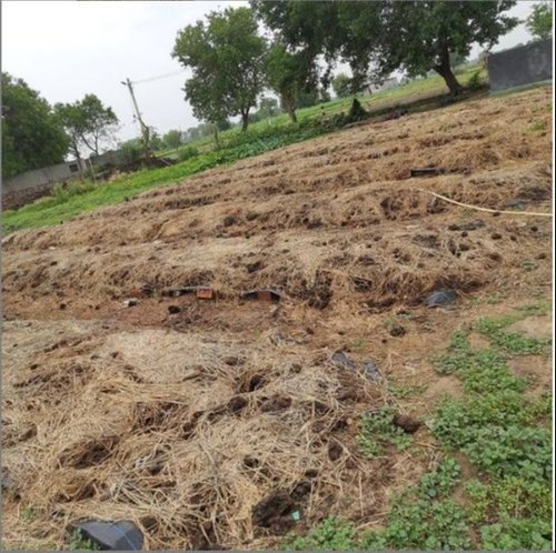 Organic Natural Vermicompost Manure, for Agriculture, Packaging Type : Plastic Bag