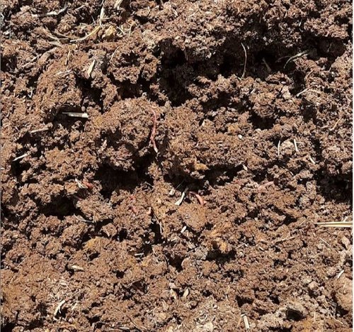 Organic Vermicompost Manure, for Agriculture, Packaging Size : 25kg, 50kg