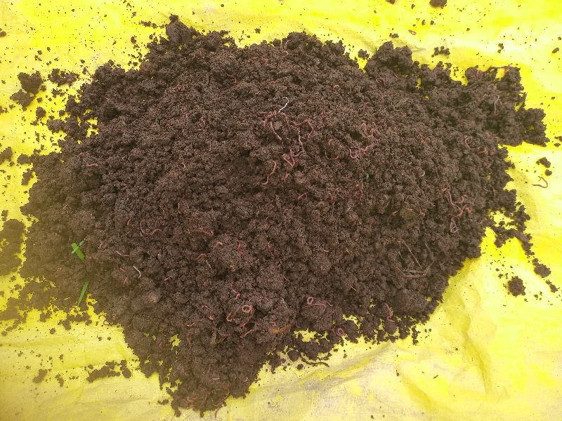 Neem Organic Vermicompost Manure,vermicompost manure, for Agriculture, nursery, Packaging Type : Plastic Bag