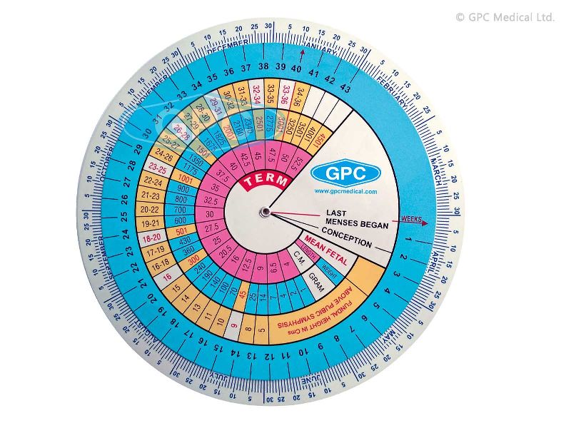 GESTATIONAL WHEEL