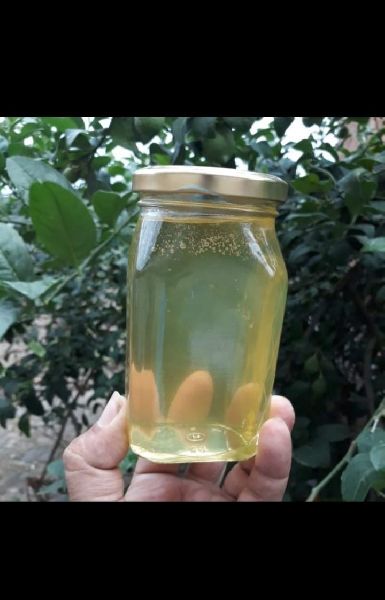 Acacia Honey, Color : Lemon