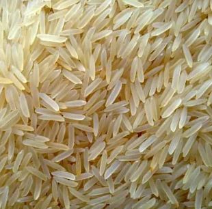 Organic Basmati Rice, For Cooking, Certification : FSSAI Certified