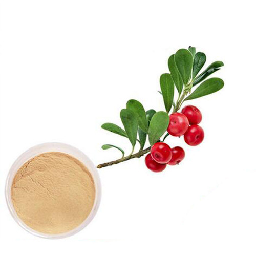 Natural Bearberry Extract, for Medicinal, Food Additives, Beauty, Packaging Type : Bottle, Jar, Poly Bags