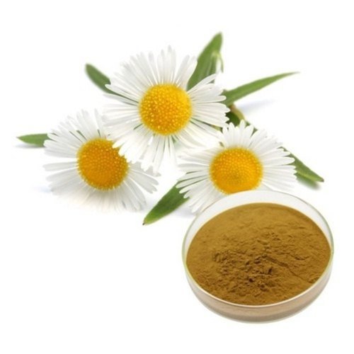Natural Chamomile Extract, for Medicinal, Food Additives, Beauty, Packaging Type : Bottle, Poly Bags
