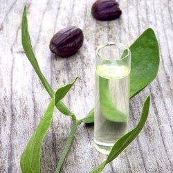 Clear Jojoba Oil, for Ayurvedic Products, Skin Care Products, Form : Liquid