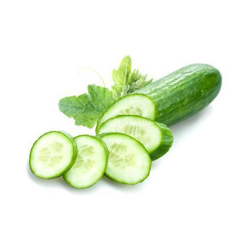 Natural Cucumber Extract, for Medicinal, Food Additives, Beauty, Packaging Type : Bottle, Poly Bags
