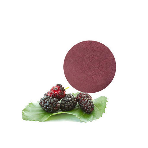 Natural Mulberry Extract, for Medicinal, Food Additives, Beauty, Packaging Type : Poly Bags, Gunny Bags
