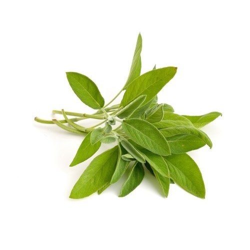 Sage Extract
