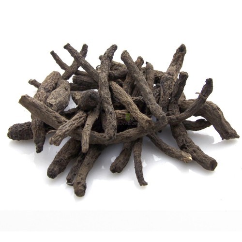 Black Musli, for Medicine Use, Form : Roots