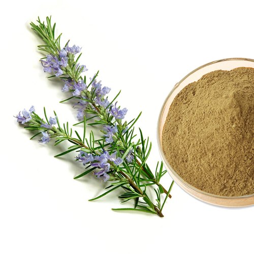 Rosemary Extract, for Cosmetics, Food, Nutraceuticals, Form : Powder