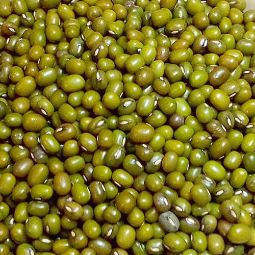 Whole Green Moong Dal, Feature : Good In Protien