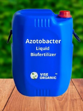 Vise_Azotobacter Azotobacter