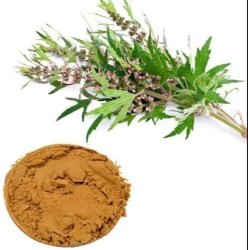 Herbo Nutra Motherwort Extract, Packaging Size : 25 Kg
