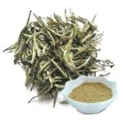 Herbo Nutra White Tea Extract, Packaging Type : Packet