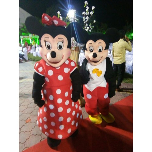 Multicolor Inflatable Cartoon Costume, INR 16,000 / Units by S S Balloons  And Inflatables from Hyderabad | ID - 5985384