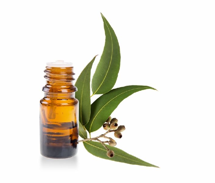 Eucalyptus oil, Feature : Aid Wound Care, Freshness, Purity